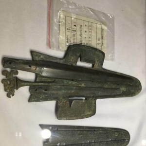 成都驚現春秋戰國船棺墓群　堪稱地下青銅器寶庫