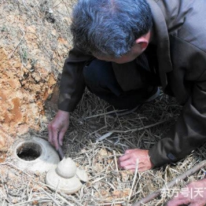 梅山清理雜草時意外挖出“青瓷”，上繳獲300元獎勵！