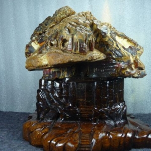 鴻運當頭（金獎）