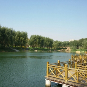 公園，是花園更似家園
