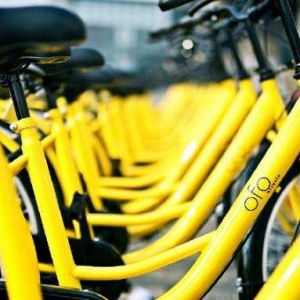 [評論]共享單車事故索賠第一案：內生風險無法解決