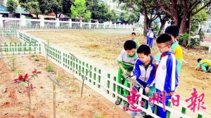 中醫藥文化進校園
