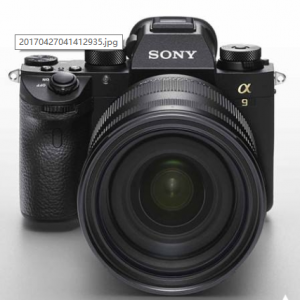 索尼A9的AF性能和1DX、D5勢均力敵