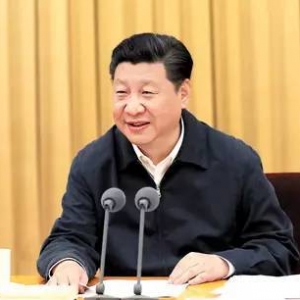 習近平全面從嚴治黨著力解決這些突出問題