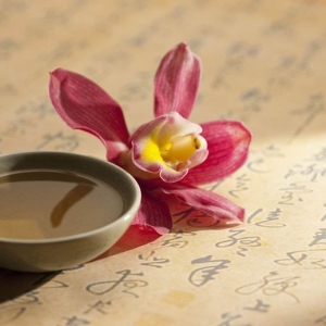 【學(xué)思踐悟十九大】做中華文化的忠實(shí)傳承者和弘揚(yáng)者