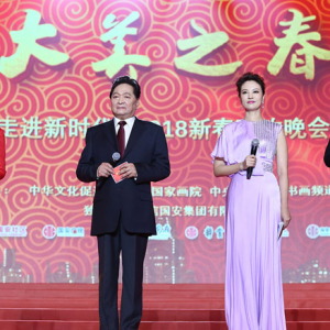 2018大美之春走進(jìn)新時(shí)代新春聯(lián)歡會(huì)在京舉行