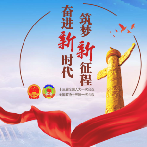 兩會：2980名十三屆全國人大代表的代表資格確認全部有效