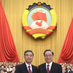 政協第十三屆全國委員會選出領導人汪洋當選全國政協主席