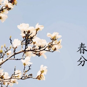 春分 （二十四節氣之一） 　　