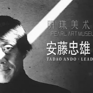 明珠美術館開館大展丨安騰忠雄展·引領