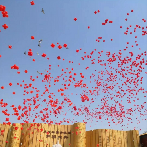 劉久源應(yīng)邀回國(guó)出席在黃帝故里隆重舉行的拜祖大典