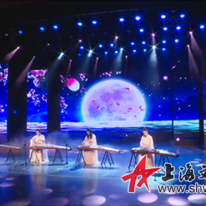 "心的呼喚"青年古箏新箏演奏家王菲亞獨奏公益音樂會圓滿舉行
