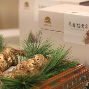 嘗鮮松茸百味，上海莊隱閣松茸品鑒會完美落幕