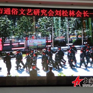 上海通俗文藝研究會劉松林會長一行赴黃石龍鳳集團考察采風