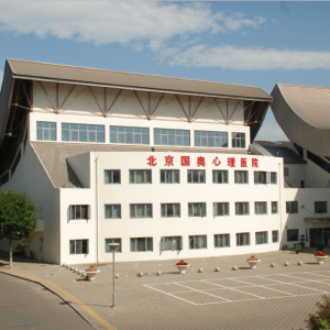 心理醫生可以治療哪些問題，北京哪里有