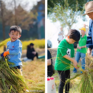 上海市松江區石湖蕩首屆農耕文化節活動報名