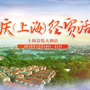 黃梅之鄉(xiāng)——安慶：走進(jìn)上海，加強(qiáng)與長(zhǎng)三角地區(qū)政企合作交流，促進(jìn)安慶經(jīng)濟(jì)高質(zhì)量發(fā)展