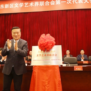 上海浦東文學藝術界聯合會成立 　　