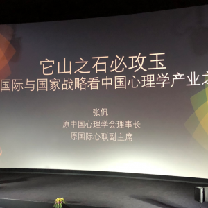 北京國奧心理醫院董事長趙豐于桐參加2018中國心理產業博覽會