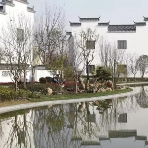家門口的古徽州你竟不知道？快去打卡上海這座粉墻黛瓦的社區(qū)公園