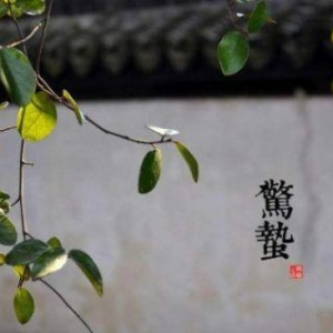 申城今日雨止迎“驚蟄” 未來陰雨轉換仍頻繁