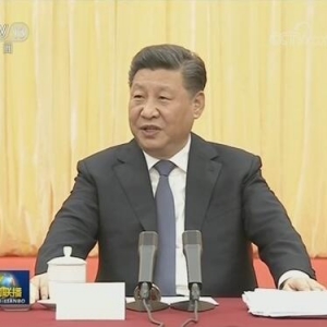 習近平看望參加政協會議的文藝界社科界委員