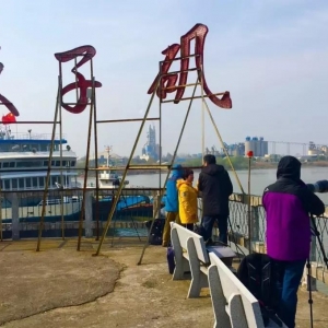 攝影 | 上海生態攝影師與長江淡水豚類之約
