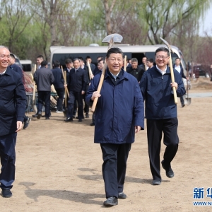 黨和國家領導人參加首都義務植樹活動