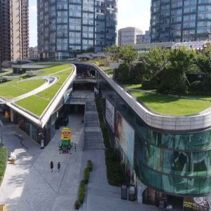 上海越來越多建筑開始“頭上長草”，立體綠化到底燒不燒錢？