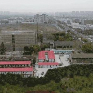 60多歲以色列老校長，為何選擇到上海創業，第一家公司要開在（上海）創新園