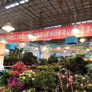 上海通俗文藝研究會在一九園藝公司舉辦書畫聯(lián)誼筆會