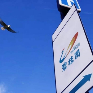 世界500強最新排名：碧桂園躍升176位 成上升幅度最大企業
