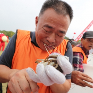 2019年上海寶山湖長江蟹品鮮節開幕，“蟹王蟹后”花落誰家？
