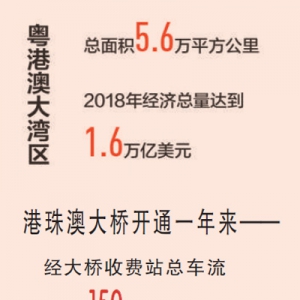 共建國際一流灣區（壯麗70年 奮斗新時代·區域協調發展新格局）