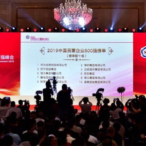 走向更加廣闊的舞臺——寫在民營企業(yè)座談會召開一周年之際
