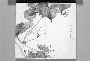 “中國(guó)風(fēng)”與日本江戶詩(shī)經(jīng)學(xué)