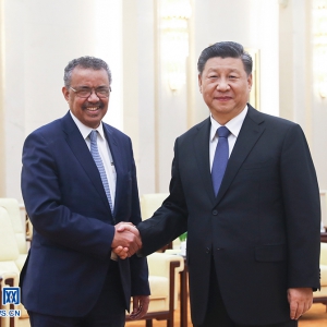 習近平會見世界衛生組織總干事譚德塞