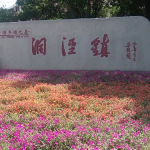 【志愿先行】松江區洞涇鎮平安英雄傾情傾力“出戰”疫情防控