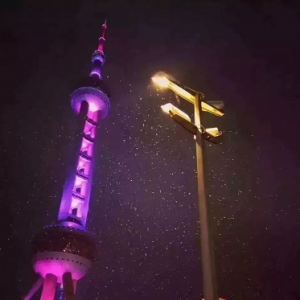 上海入春了，上海下雪了！沒(méi)趕上雪景的看這里→
