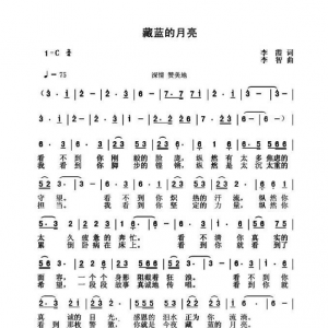 戰疫情|《藏藍的月亮》MV向奮戰在抗疫一線的人民警察致敬！