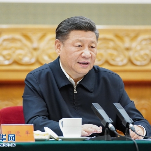 黨中央的決心有多大？看習(xí)近平這10段話！