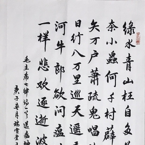 戰疫情|王瑞昱的作品