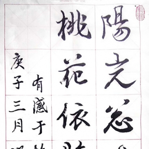 戰疫情|饒明華的作品