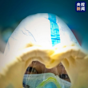 上海援鄂英雄凱旋，奚美娟朗誦《若我歸來》，我們在上海等你們回家！