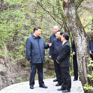 習近平在陜西考察秦嶺生態保護情況