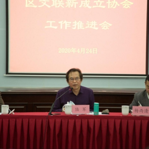 砥礪前行  創新發展——松江區文聯舉辦新成立協會工作推進會