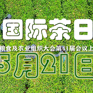 國家主席習近平向“國際茶日”系列活動致信表示熱烈祝賀