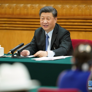 習(xí)近平參加內(nèi)蒙古代表團(tuán)審議