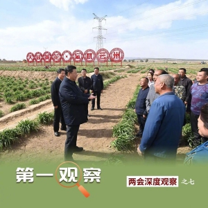 從“吃得飽”到“吃得好”——總書記眼中的“小康菜譜”
