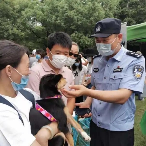 @所有上海人：養狗無證、不牽繩、不帶嘴套……罰！